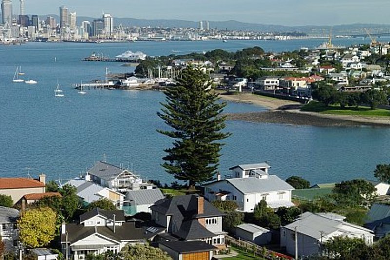 séjour linguistique à Auckland : vue sur le port d'Auckland et quartier résidentiel