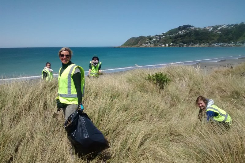 ecovolontariat en nouvelle-zelande : nettoyage des plages