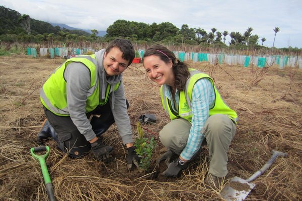 chantier nature en nouvelle-zelande à Punakaiki